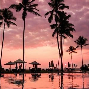 Meet your Posher, Jocelyn